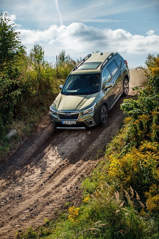 Pierwsza jazda nowym Subaru. Forester e-BOXER - czas "Leśnika" [ZDJĘCIA]