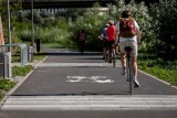 Liczniki rowerowe na ulicach Poznania. Ponad 1,6 mln przejazdów od początku roku