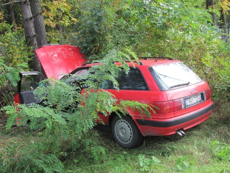 Nowa Wieś Wschodnia. Litwin uderzył w drzewo