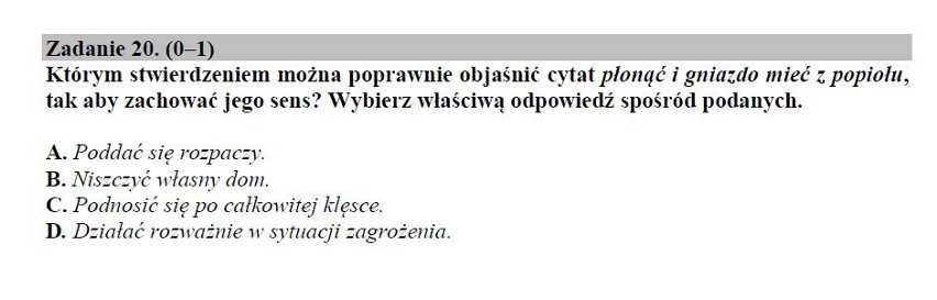 Egzamin gimnazjalny 2019. JĘZYK POLSKI część humanistyczna. Odpowiedzi i arkusz pytań CKE w serwisie EDUKACJA