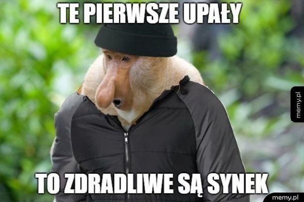 Upał w Polsce dokucza wszystkim. Internauci wzięli sprawy w...