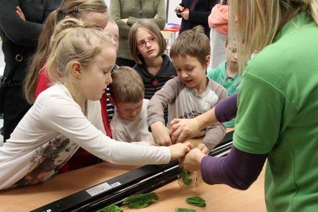 Dzieci i młodzież chętnie uczestniczą w zajęciach Młyna Wiedzy