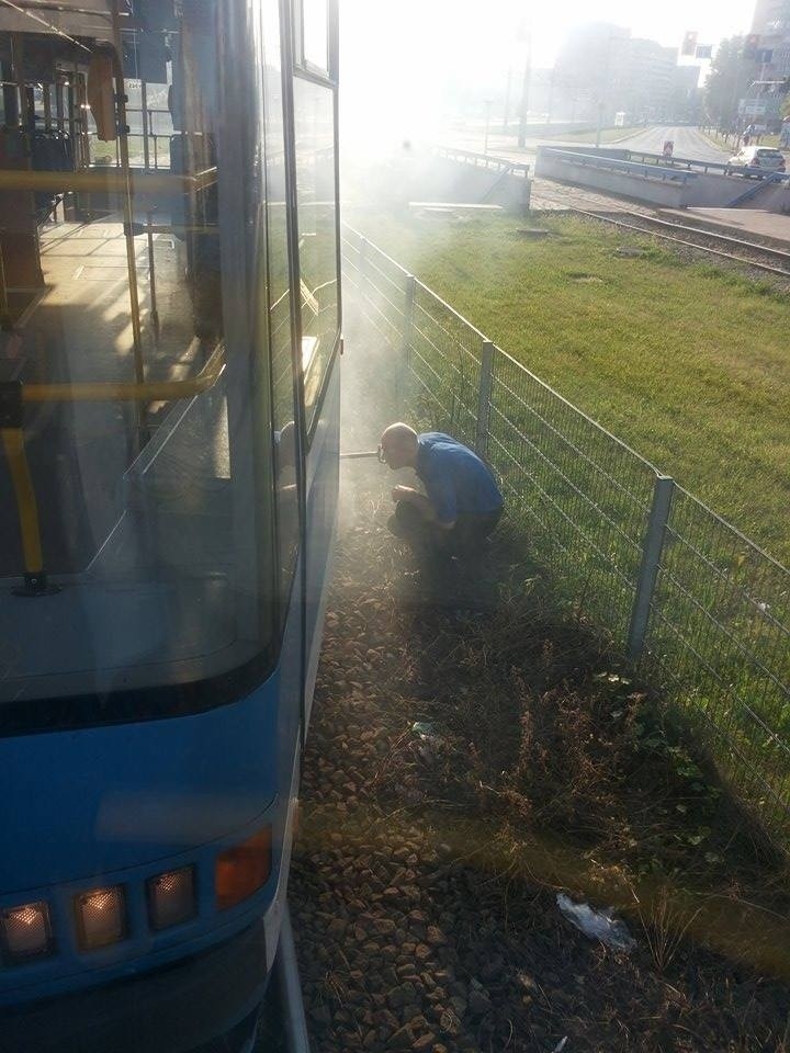 Wrocław: Dym z tramwaju linii nr 10. Wozy MPK stanęły na Legnickiej (ZDJĘCIA)