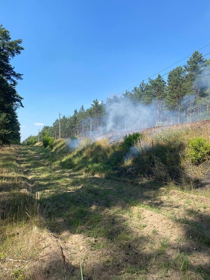 Do pożaru traw w pobliżu torów kolejowych w Toruniu doszło w...
