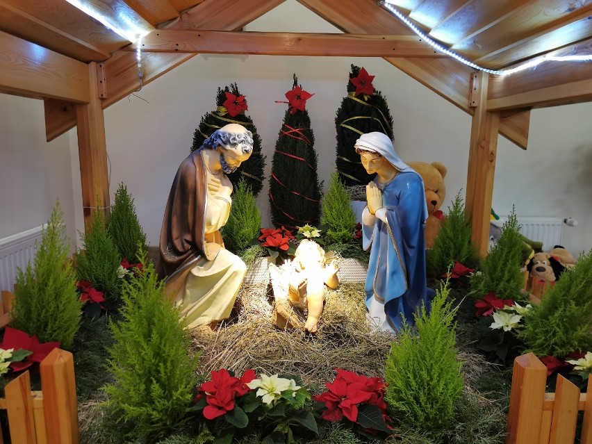 Szopki bożonarodzeniowe 2019 w toruńskich kościołach - zdjęcia