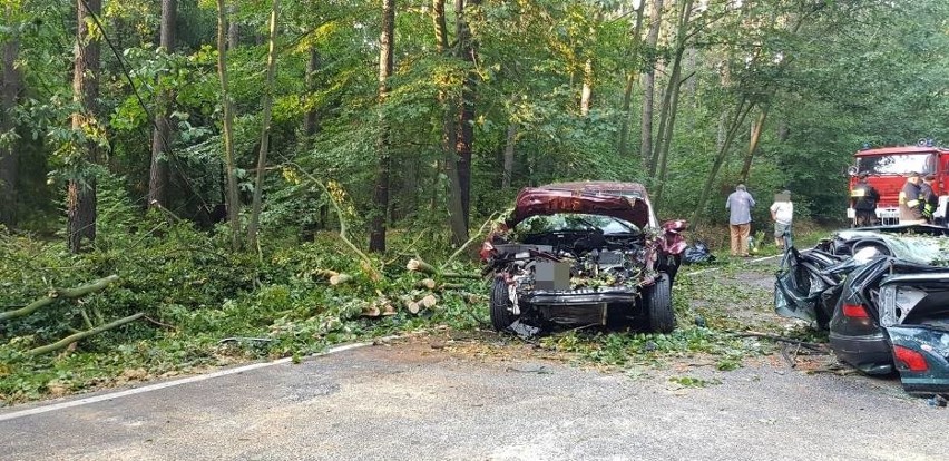 Straszny wypadek. Potężne drzewo zniszczyło samochody (ZDJĘCIA)