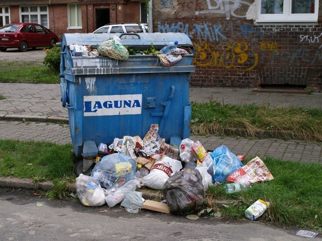 Tak wyglądał wczoraj śmietnik przy Fabrycznej. Urzędnicy chcą go przenieść w podwórko i schować w altanie. 