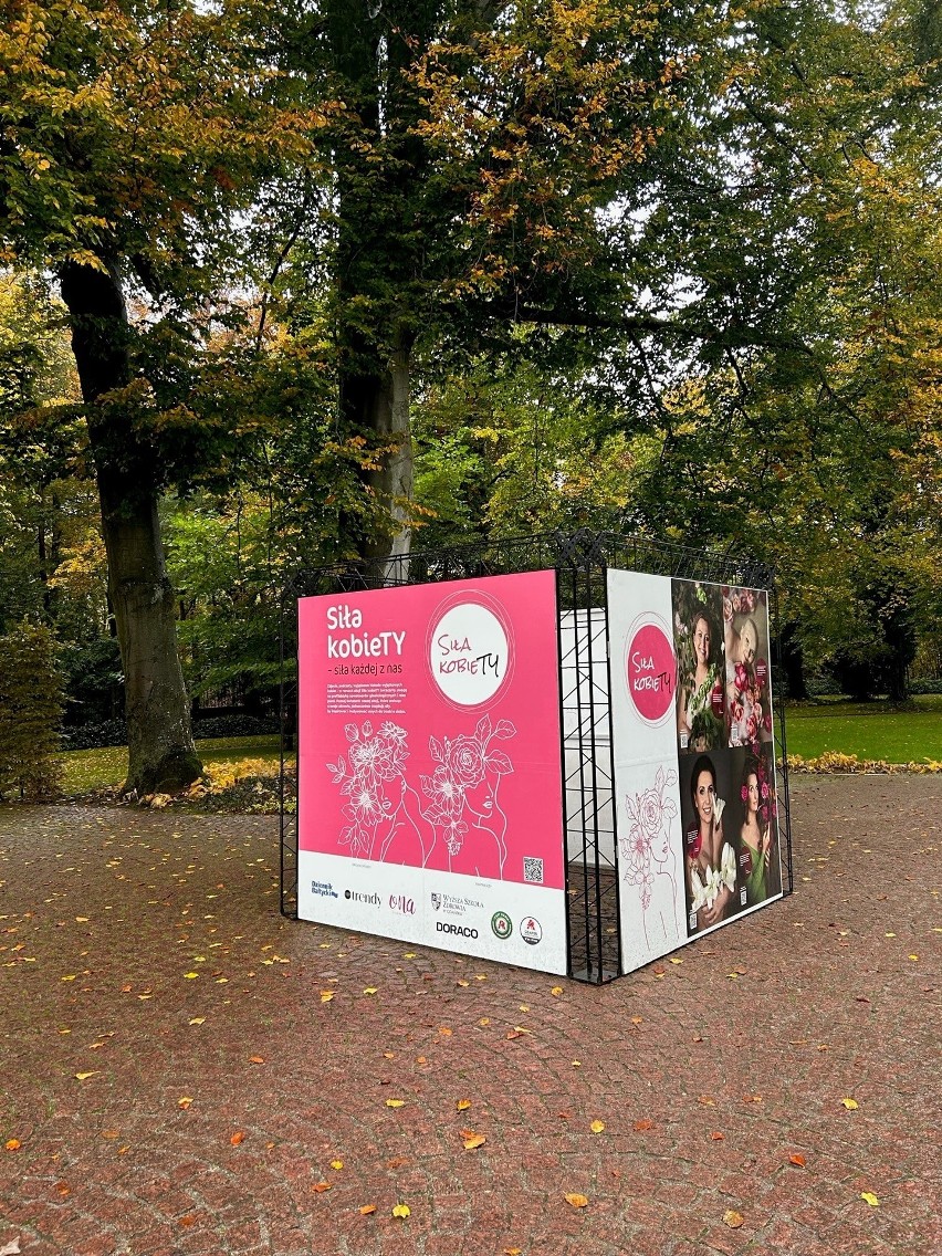 "Siła KobieTY" - wystawa w Parku Oliwskim. Portrety naszych bohaterek w jesiennej scenerii