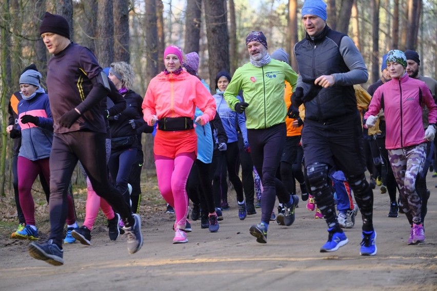 Parkrun Toruń - dzisiaj pobiegli pięć kilometrów w pięknym słońcu