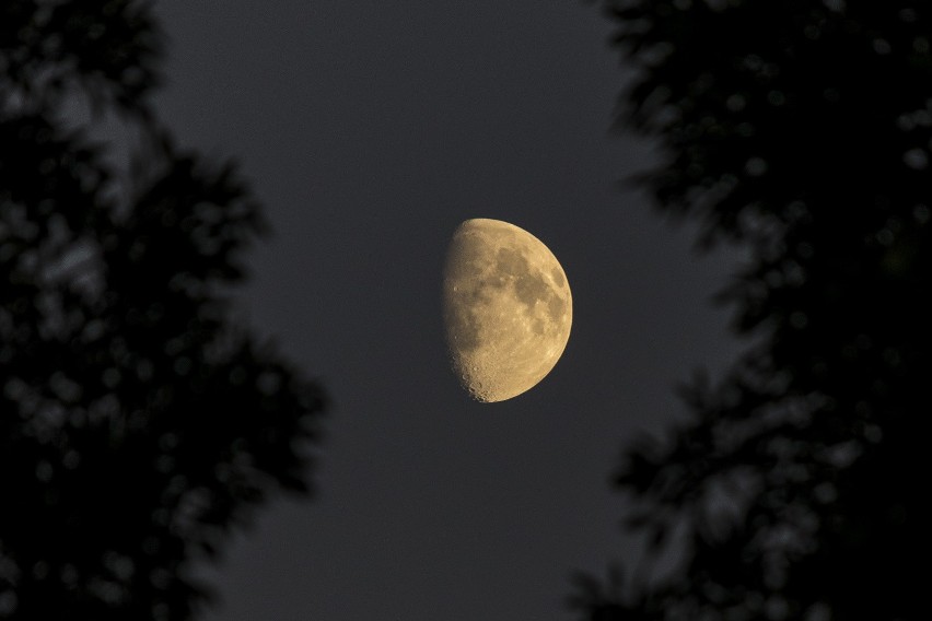 Superpełnia nad Choroszczą. Internauta sfotografował...