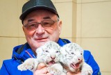 Z białym lwem na kolanach, czyli jak Andrzej Pabich realizuje swoje marzenia o zoo safari