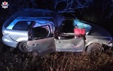 Tragiczny wypadek w Wólce Polanowskiej. Samochód zjechał do rowu i uderzył w drzewo. Nie żyje 49-latka
