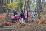 Kilkadziesiąt osób sprzątało zabytkowy cmentarz w Opolu