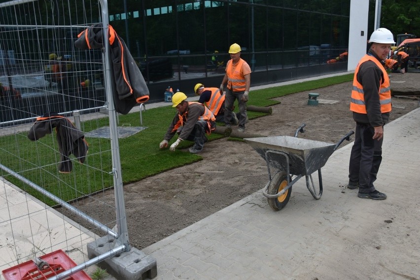 Trawa pojawi się tam z dnia na dzień - przyjechała w...