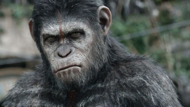 Kadr z filmu: Ewolucja planty małp
