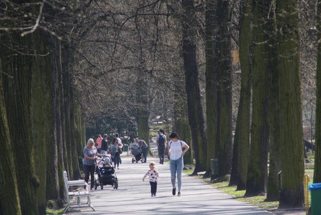 To ma być spotkanie edukacyjne. A na nim poruszone zostaną sprawy dotyczące zieleni miejskiej i w lasach w kontekście zmian klimatu.