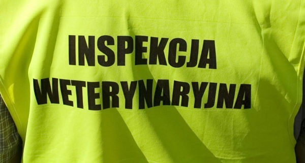 Piotr Rybak, odwołany za nieprawidłowości ze stanowiska zastępcy Powiatowego Lekarza  Weterynarii w Bytowie z siedzibą w Miastku, znalazł zatrudnienie w powiatowej weterynarii w Lęborku. Co prawda nie na kierowniczym stanowisku, ale z zakresem dotyczącym bezpieczeństwa żywności. M.in. taką działką, w sensie nadzoru, zajmował się w Miastku. Czytelnik, który poinformował nas o sprawie pyta, czy tak to powinno się odbywać.