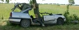 20-latka zjechała na pobocze. Opel uderzył w drzewo. (zdjęcia)