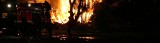 Pożar: Tragiczny finał. Spłonął mężczyzna. Spalone ciało było w zgliszczach.