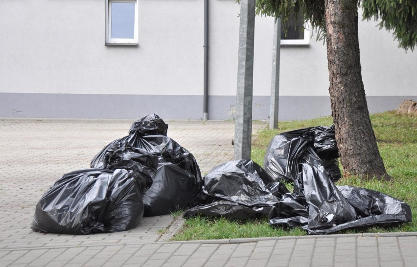 Z wyliczeń wynika, ze w Bielsku Podlaskim koło 3 600 osób...