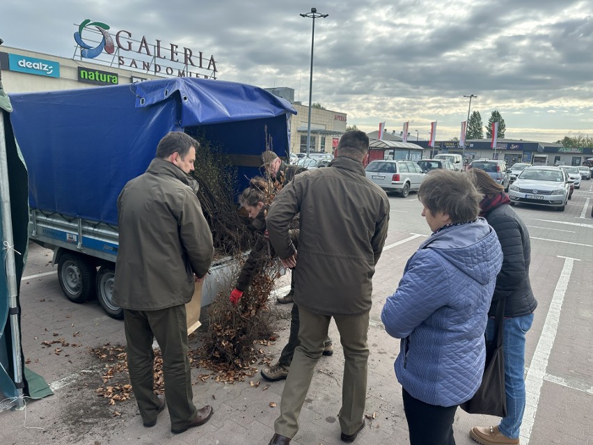 W Sandomierzu  trwa akcja  "Drzewko za surowce wtórne". Przyjdź po atrakcyjne sadzonki 