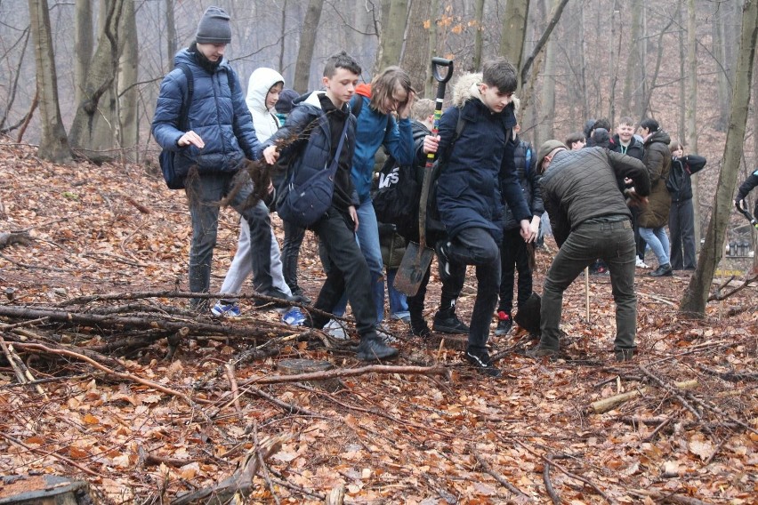 W lesie na obrzeżach Koszalina wolontariusze (udział w akcji...