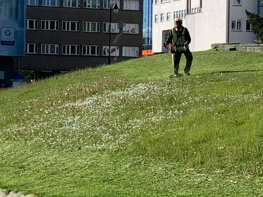 W czwartek (21 maja) koszona była trawa na skarpie obok...