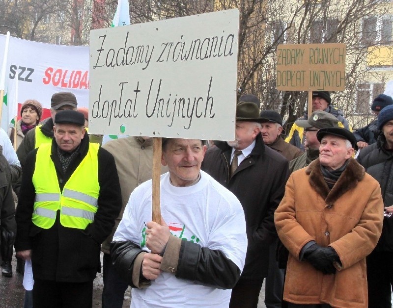 Protestujący mieli ze sobą flagi i hasła.