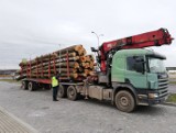 Przewoził za dużo drewna. WITD w Białymstoku zatrzymało przeciążoną ciężarówkę