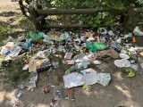 Śmieciarze rządzą. Wypoczynek nad jeziorem w Otominie z górą nieczystości | ZDJĘCIA 