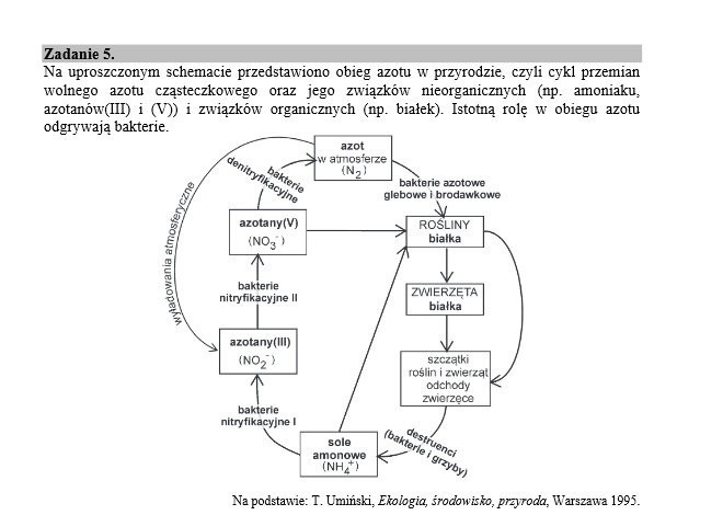 Matura 2015 BIOLOGIA - nowa matura dla LO (wersja A) - ARKUSZ CKE - ODPOWIEDZI - TESTY ONLINE