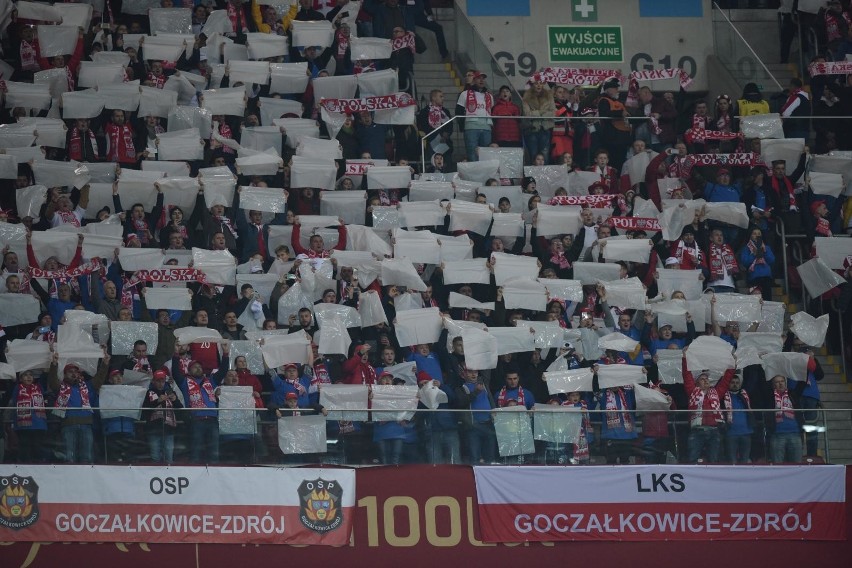 Polska - Słowenia. Zobacz zdjęcia biało-czerwonych kibiców na meczu! [GALERIA]