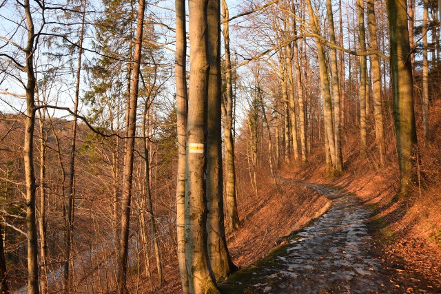 Akcja sprzątania szlaków turystycznych odbędzie się w sobotę 7 kwietnia.