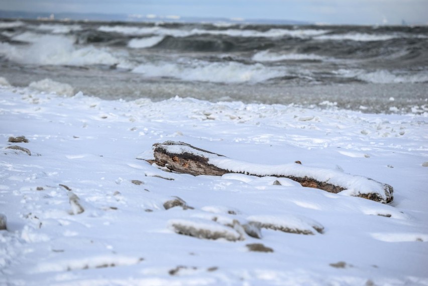 Lodowa plaża na Wyspie Sobieszewskiej