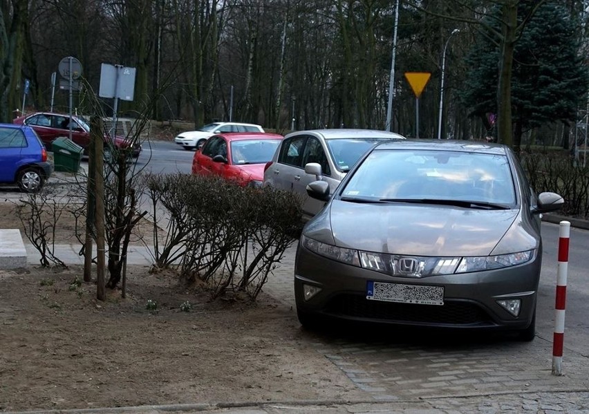 Ten autodrań przyłapany został na ul. Dolnej 2 w Zielonej...