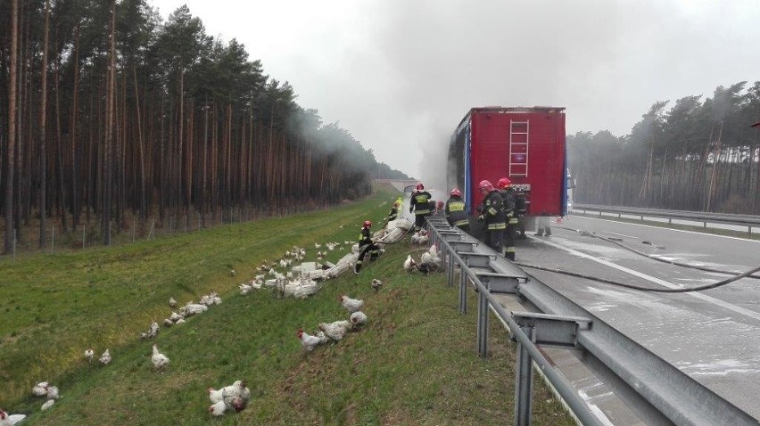 We, wtorek 12 kwietnia rano na autostradzie A2 na wysokości...