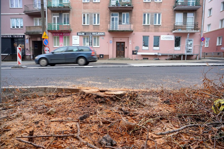 Dodatkowa wycinka drzew w centrum Lublina. Powód? Przebudowa Al. Racławickich i ul. Lipowej