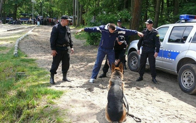 Tegoroczne ćwiczenia służb ratunkowych odbyły się na terenie kompleksu leśnego w Golejowie. Na zdjęciu staszowscy policjanci, którzy dzięki skutecznej obławie błyskawicznie schwytali "bandytów&#8221;.