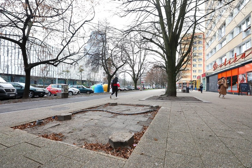 Wiosną pawilony mają być gotowe, choć na alei nic się nie zmienia