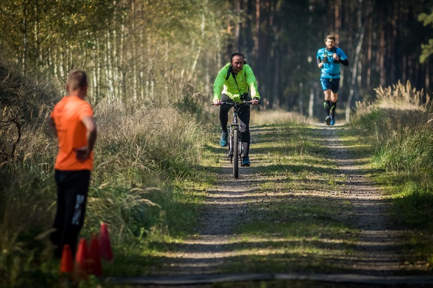 Niedzielny Maraton Puszczy Bydgoskiej odbył się na dystansie...