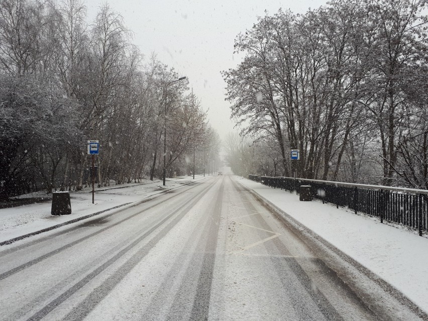 W niedzielę ( 25 stycznia) zima znów wróciła do Łodzi i...
