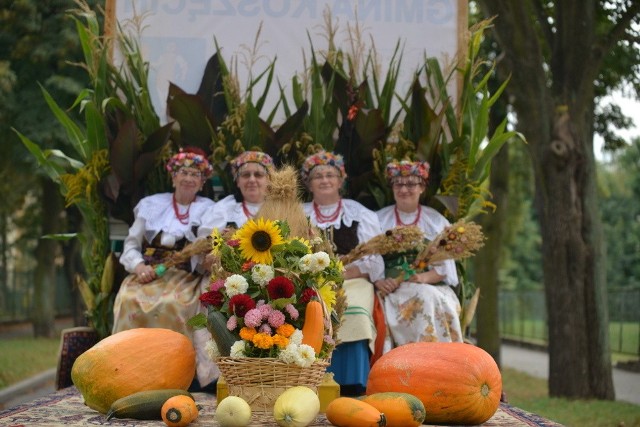 Dożynki powiatowe w Lublińcu 2018