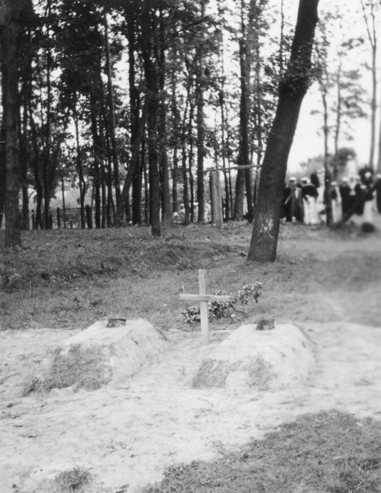 Zbiorowa mogiła polskich żołnierzy na Westerplatte jesienią...