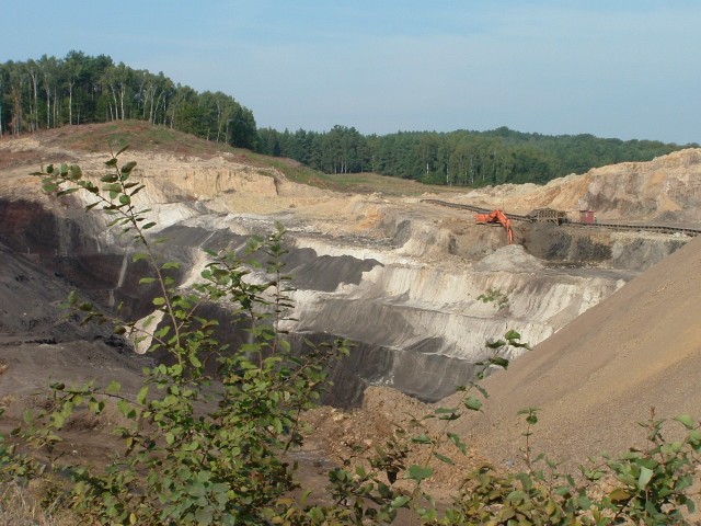 Kopalnia Węgla Brunatnego Sieniawa jest jednym z najciekawszych geologicznie miejsc w województwie lubuskim