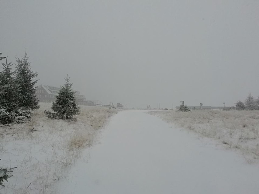 Pierwszy śnieg na Dolnym Śląsku! Wichura nawet 100 km/h [ZDJĘCIA]