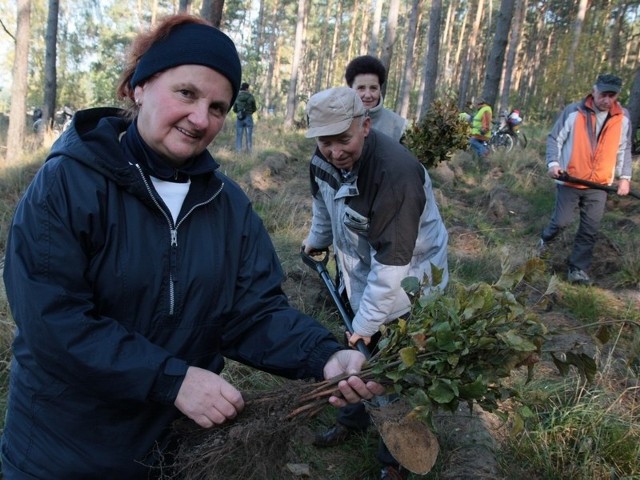 W sadzeniu lasu uczestniczyła m.in. Halina Wasilewska. Pomagał jej Piotr Kania.