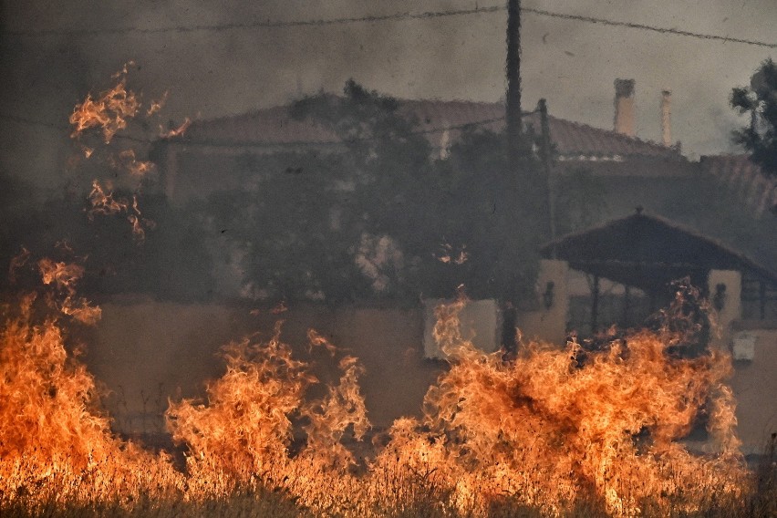 Pożary lasów w Grecji. Polska wyśle strażaków na pomoc