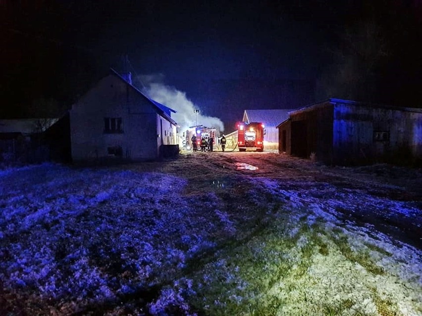 Ze spalonego domu koło Białej Podlaskiej strażacy wyciągnęli zwęglone ciało. Śledczy szukają przyczyny pożaru