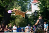 Zobacz „Latające Psy” w Gdyni - już w ten weekend