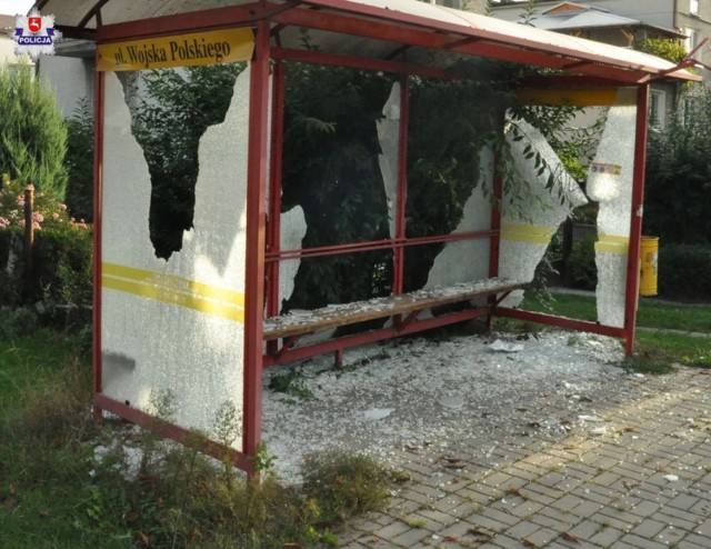 Policjanci z Zamościa zatrzymali 33-latka, który uszkodził przystanki autobusowe i pojazdy